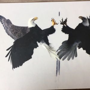 The Ozarks Small Storage Wood  Box Eagles Print